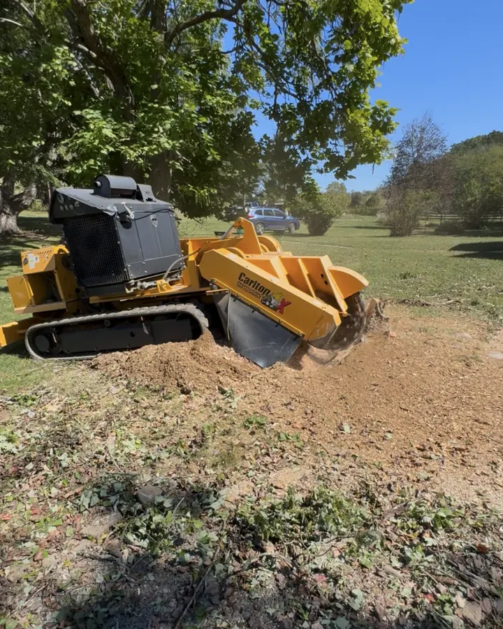 Stump grinder grinding a stump below grade